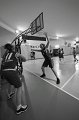 Basket 443033